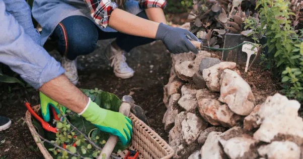 Gardening