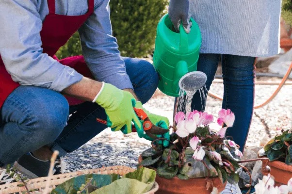 Gardening