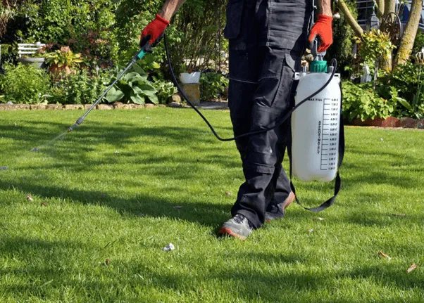 Gardening