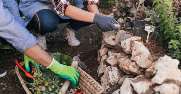 gardening in melbourne