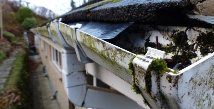 Close-up of a mossy, debris-filled gutter showing heavy buildup and neglect.