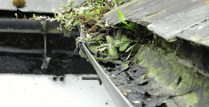 Gutter Cleaning