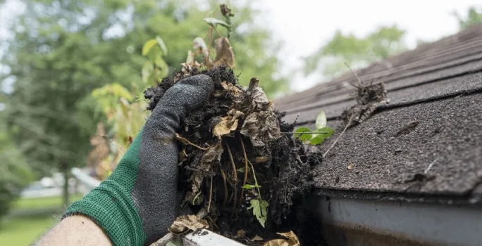 Gutter Cleaning
